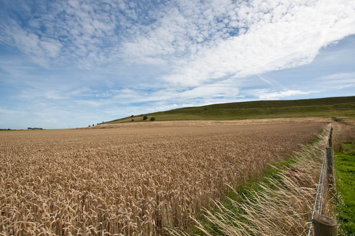 Maiden Castle Dorchester Dorset Dorsetcamera