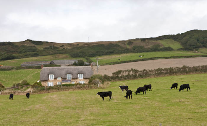 Abbotsbury Dorset Coast Path Dorsetcamera