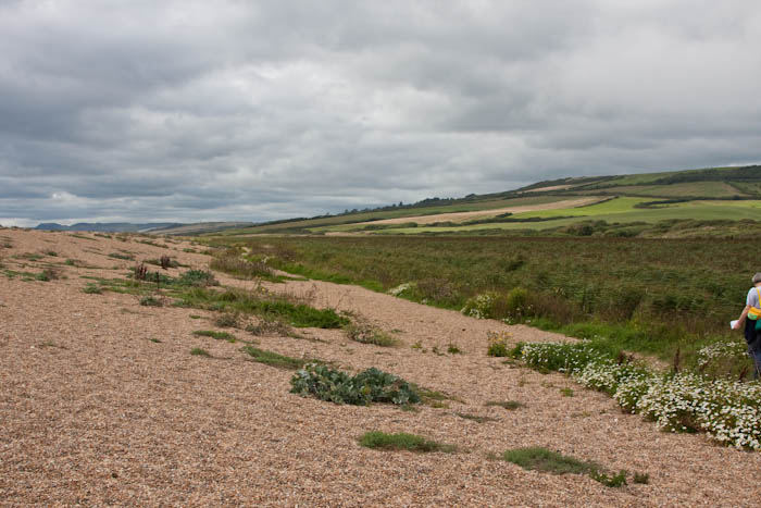 West Bexington Dorset Coast Path Dorsetcamera