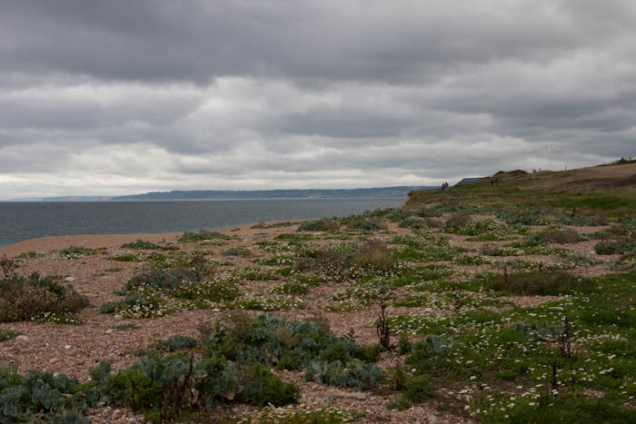 Cogden Dorset Coast Path Dorsetcamera