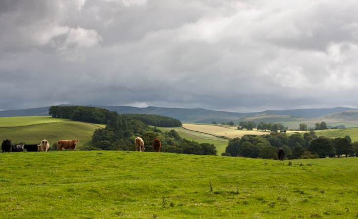 Settle Yorkshire Dorsetcamera