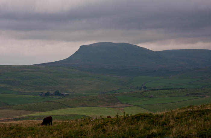 Settle Yorkshire Dorsetcamera