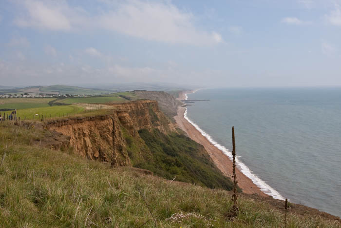 Seatown Dorset Coast Path Dorsetcamera