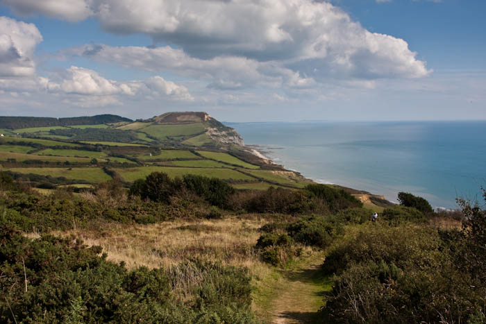 Golden Cap Dorset Dorsetcamera