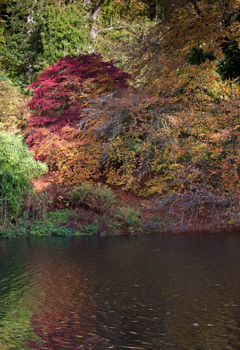 Stourhead Wiltshire Dorsetcamera