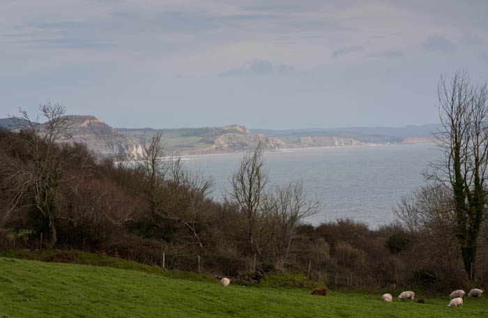 Dorsetcamera Dorset Lyme Regis
