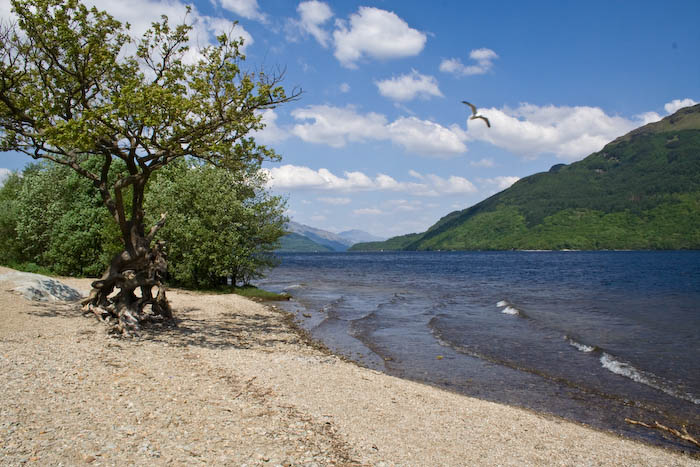 Loch Lomond