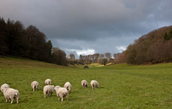 Stourhead Gardens Wiltshire Dorsetcamera