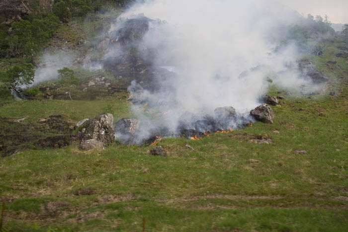 Mountain Fire