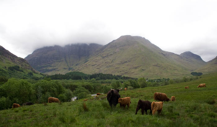 Glencoe