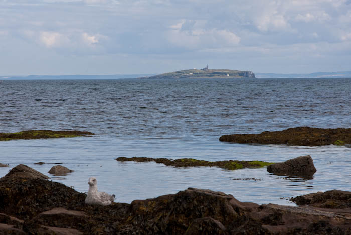 Crail Fife Scotland Dorsetcamera