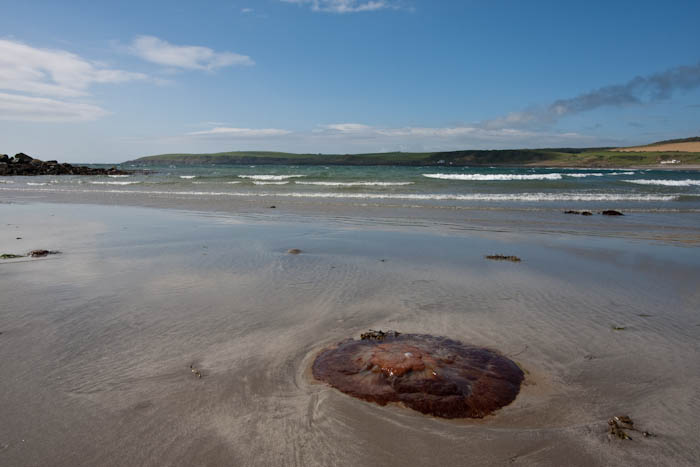Port Logan Dumfries and Galloway Scotland Dorsetcamera