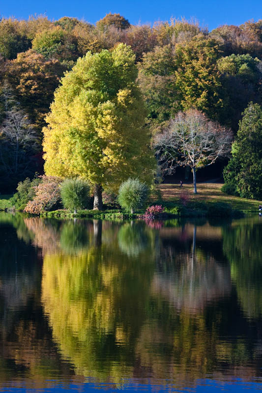 Stourhead Gardens National Trust Wiltshire Dorsetcamera