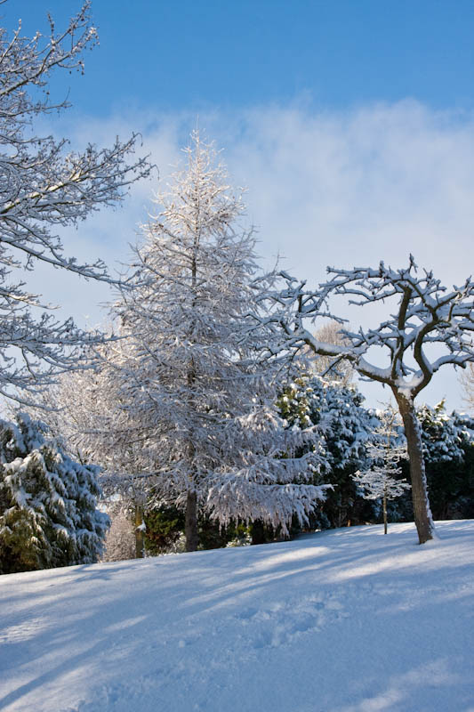 Sherborne snow Dorset Dorsetcamera