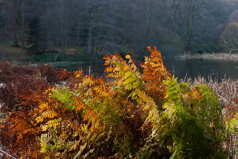 Stourhead Gardens National Trust Wiltshire Dorsetcamera