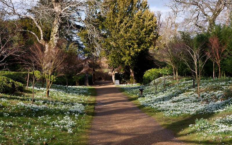 Kingston Lacy National Trust Dorset Dorsetcamera