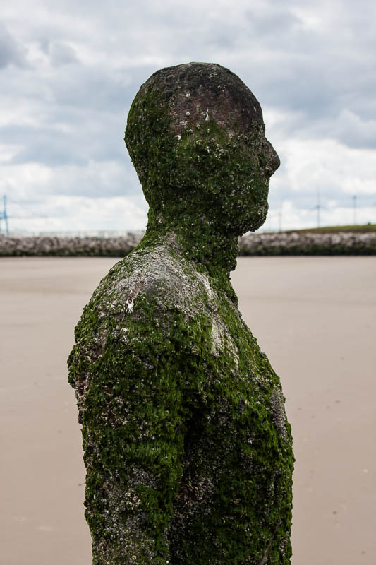 Crosby Lancashire Dorsetcamera Anthony Gormley