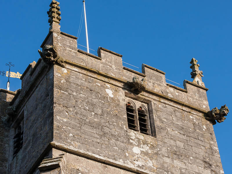 Corfe Dorset Dorsetcamera